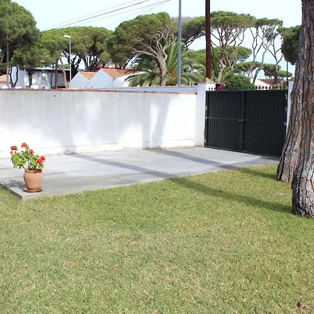 Violeta Chiclana de la Frontera